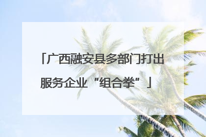 广西融安县多部门打出服务企业“组合拳”