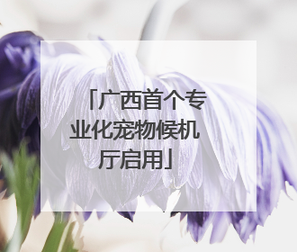 广西首个专业化宠物候机厅启用