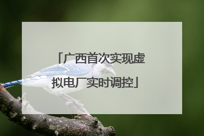 广西首次实现虚拟电厂实时调控