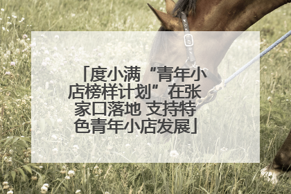 度小满“青年小店榜样计划”在张家口落地 支持特色青年小店发展