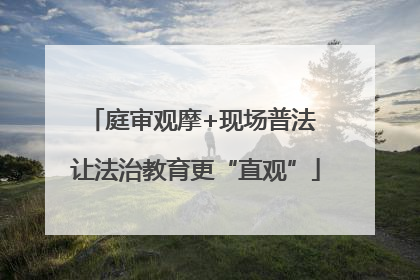 庭审观摩+现场普法 让法治教育更“直观”