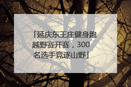 延庆东王庄健身跑越野赛开赛，300名选手竞逐山野