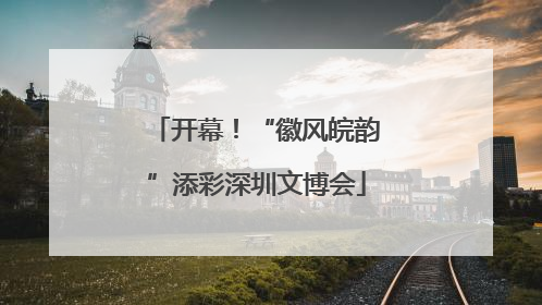 开幕！“徽风皖韵”添彩深圳文博会