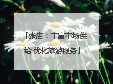 张店：丰富市场供给 优化旅游服务