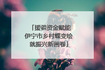 援疆资金赋能 伊宁市乡村蝶变绘就振兴新画卷
