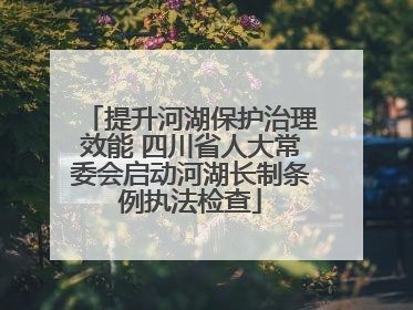 提升河湖保护治理效能 四川省人大常委会启动河湖长制条例执法检查