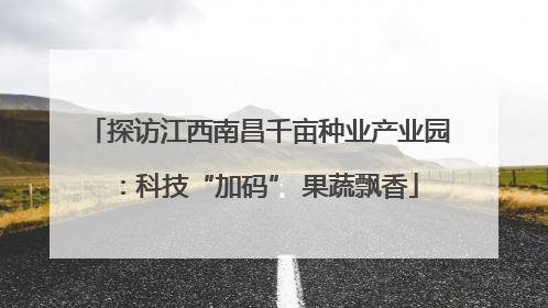 探访江西南昌千亩种业产业园：科技“加码” 果蔬飘香