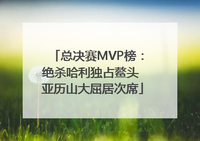 总决赛MVP榜：绝杀哈利独占鳌头 亚历山大屈居次席
