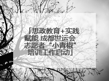 思政教育+实践赋能 成都世运会志愿者“小青椒”培训工作启动