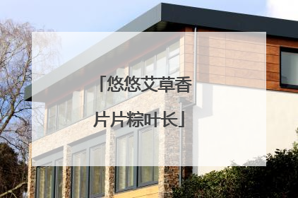 悠悠艾草香 片片粽叶长
