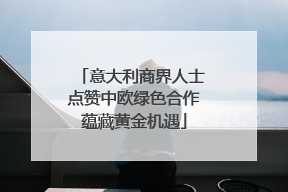 意大利商界人士点赞中欧绿色合作蕴藏黄金机遇