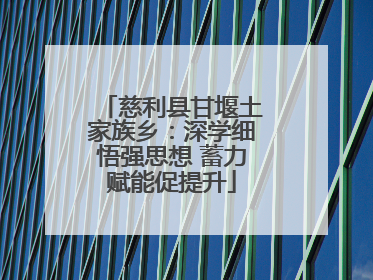 慈利县甘堰土家族乡：深学细悟强思想 蓄力赋能促提升