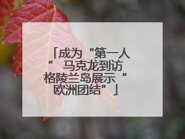 成为“第一人” 马克龙到访格陵兰岛展示“欧洲团结”