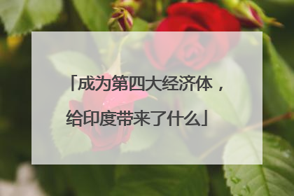 成为第四大经济体，给印度带来了什么