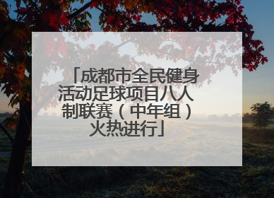 成都市全民健身活动足球项目八人制联赛（中年组）火热进行