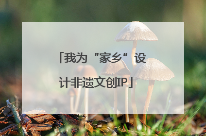 我为“家乡”设计非遗文创IP