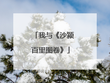 我与《沙颍百里图卷》