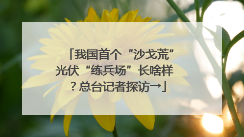 我国首个“沙戈荒”光伏“练兵场”长啥样？总台记者探访→