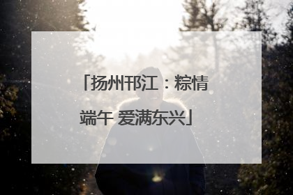扬州邗江：粽情端午 爱满东兴