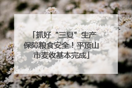 抓好“三夏”生产 保障粮食安全！平顶山市麦收基本完成
