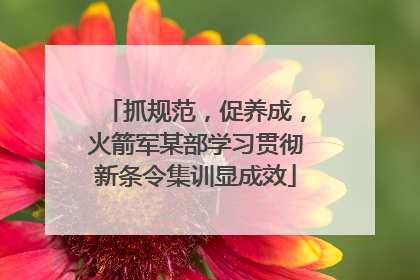 抓规范，促养成，火箭军某部学习贯彻新条令集训显成效
