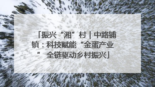 振兴“湘”村｜中路铺镇：科技赋能“金蛋产业” 全链驱动乡村振兴