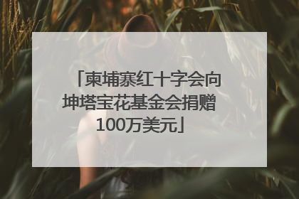 柬埔寨红十字会向坤塔宝花基金会捐赠100万美元