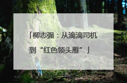 柳志强：从滴滴司机到“红色领头雁”
