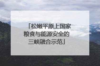 松嫩平原上国家粮食与能源安全的三峡融合示范