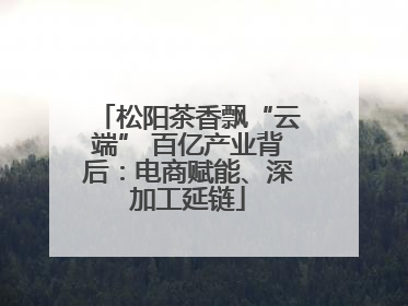 松阳茶香飘“云端” 百亿产业背后：电商赋能、深加工延链