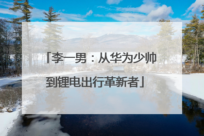 李一男：从华为少帅到锂电出行革新者