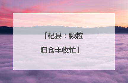 杞县：颗粒归仓丰收忙