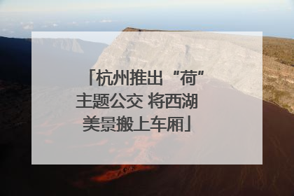 杭州推出“荷”主题公交 将西湖美景搬上车厢