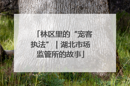 林区里的“宠客执法”｜湖北市场监管所的故事