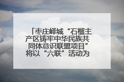 枣庄峄城“石榴主产区铸牢中华民族共同体意识联盟项目”将以“六联”活动为抓手深化品牌建设