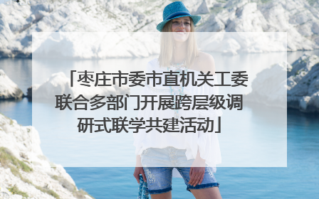 枣庄市委市直机关工委联合多部门开展跨层级调研式联学共建活动