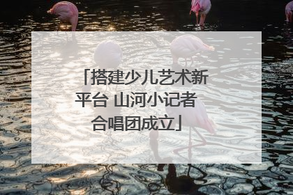 搭建少儿艺术新平台 山河小记者合唱团成立
