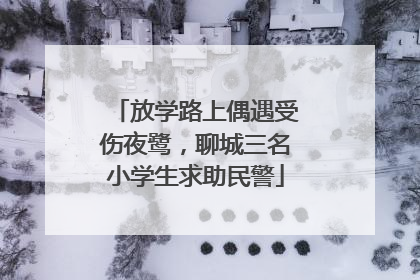 放学路上偶遇受伤夜鹭，聊城三名小学生求助民警