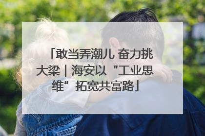 敢当弄潮儿 奋力挑大梁｜海安以“工业思维”拓宽共富路