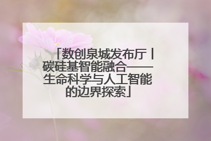 数创泉城发布厅丨碳硅基智能融合——生命科学与人工智能的边界探索