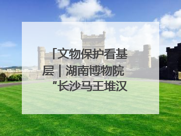 文物保护看基层｜湖南博物院“长沙马王堆汉墓陈列”展