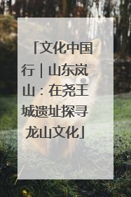 文化中国行｜山东岚山：在尧王城遗址探寻龙山文化