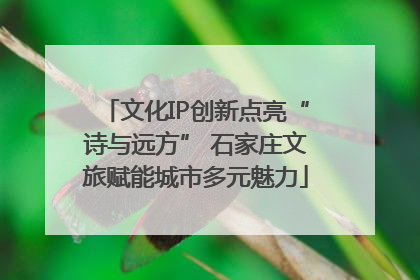 文化IP创新点亮“诗与远方” 石家庄文旅赋能城市多元魅力