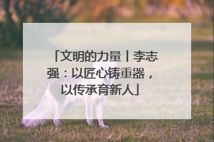 文明的力量丨李志强：以匠心铸重器，以传承育新人