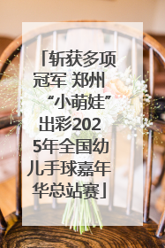 斩获多项冠军 郑州“小萌娃”出彩2025年全国幼儿手球嘉年华总站赛