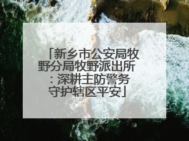 新乡市公安局牧野分局牧野派出所：深耕主防警务 守护辖区平安