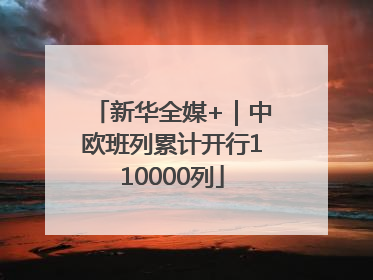 新华全媒+｜中欧班列累计开行110000列