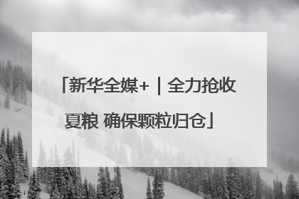 新华全媒+｜全力抢收夏粮 确保颗粒归仓
