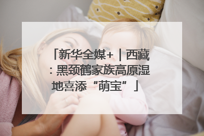 新华全媒+｜西藏：黑颈鹤家族高原湿地喜添“萌宝”