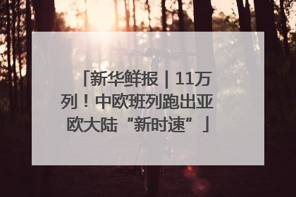 新华鲜报｜11万列！中欧班列跑出亚欧大陆“新时速”